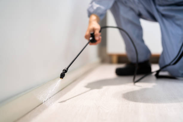 Licensed Mosquito Control service in Fulton, MD - Show Me Pest Control