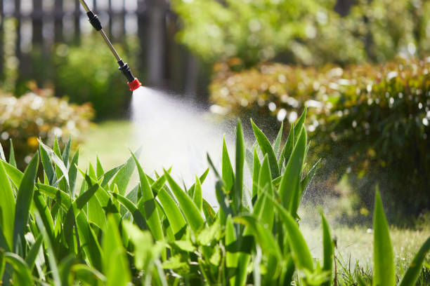 24/7 Emergency Mosquito Control experts in Fulton, MD